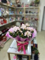 Hasır Saksıda Pembe Açelya - Görsel 2