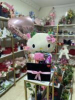 Hello kitty hediye kutusu