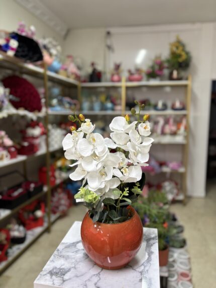 Turuncu saksıda beyaz yapay orkide