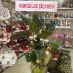 Çiftli Kauçuk